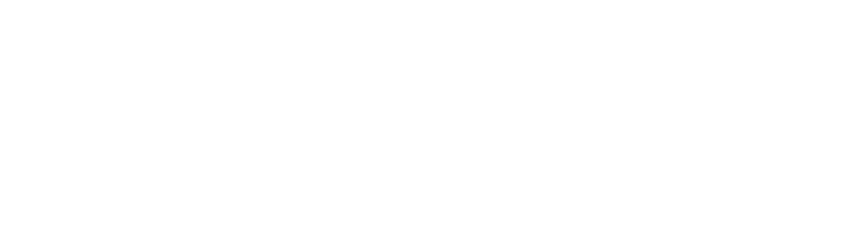 white_logo_transparent_background